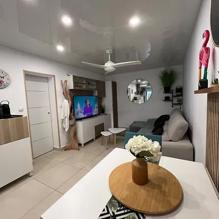Appartement Calme Et Moderne Avec Jardin, Centre Ville,