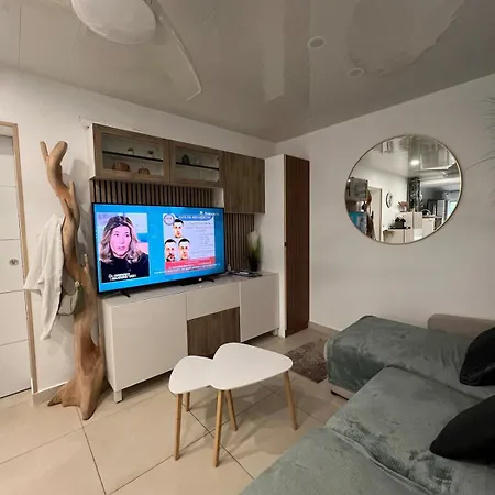 Calme Et Moderne Avec Jardin, Centre Ville, Appartement